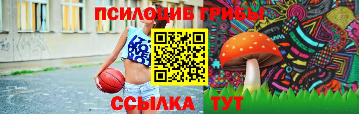 Галлюциногенные грибы Psilocybine cubensis Алушта