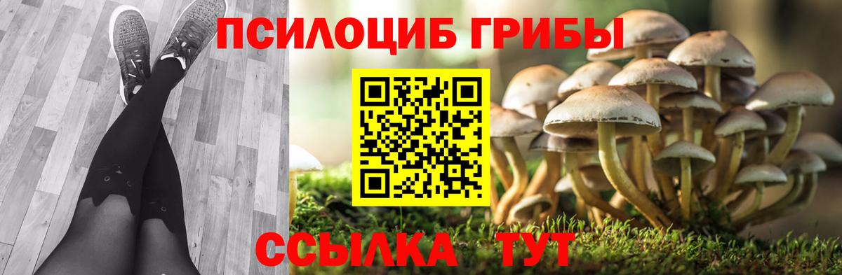 купить наркоту  Псилоцибиновые грибы Magic Shrooms  Вход с VPN  Алушта 